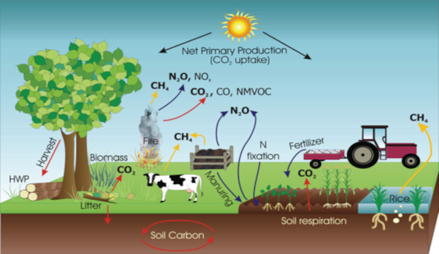 Infographic showing the CO2 closed loop