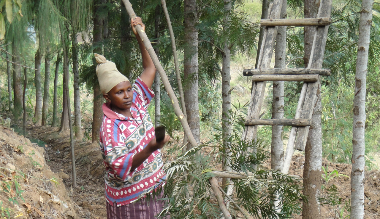 Woman pruning a tree in the forest 