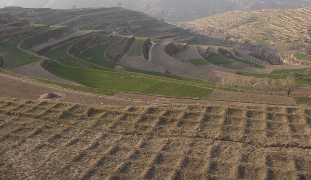 Agricultural landscape with terraced slopes and patterned ground