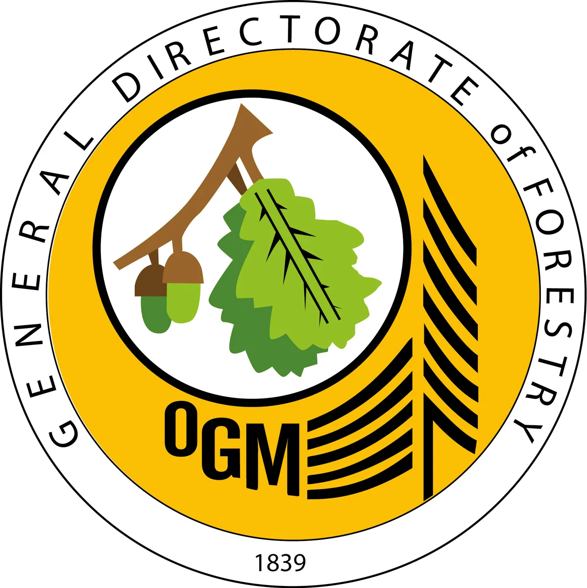 general_directorate_of_forestry