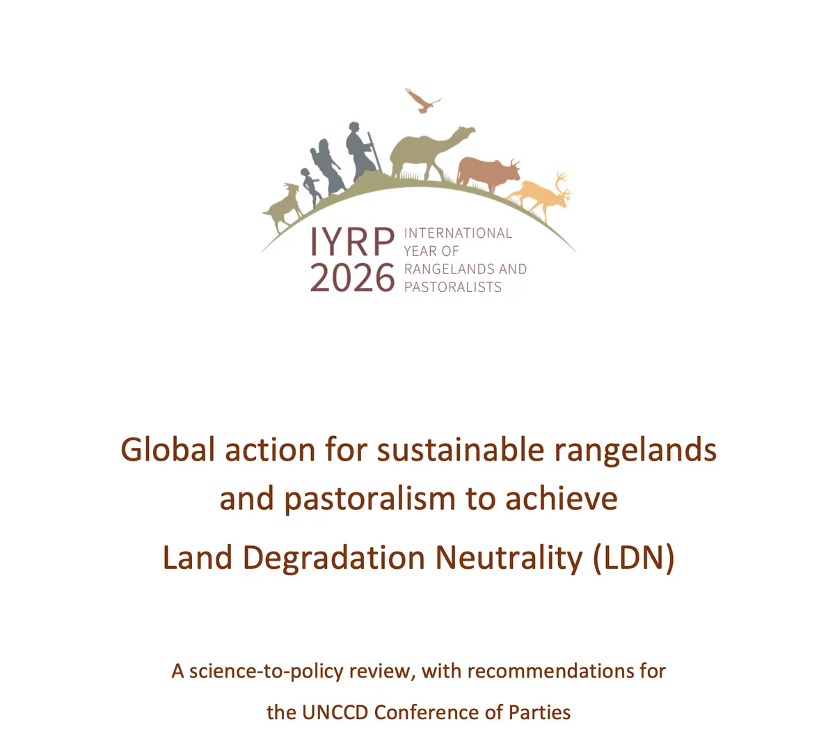 IYRP LDN Working Paper