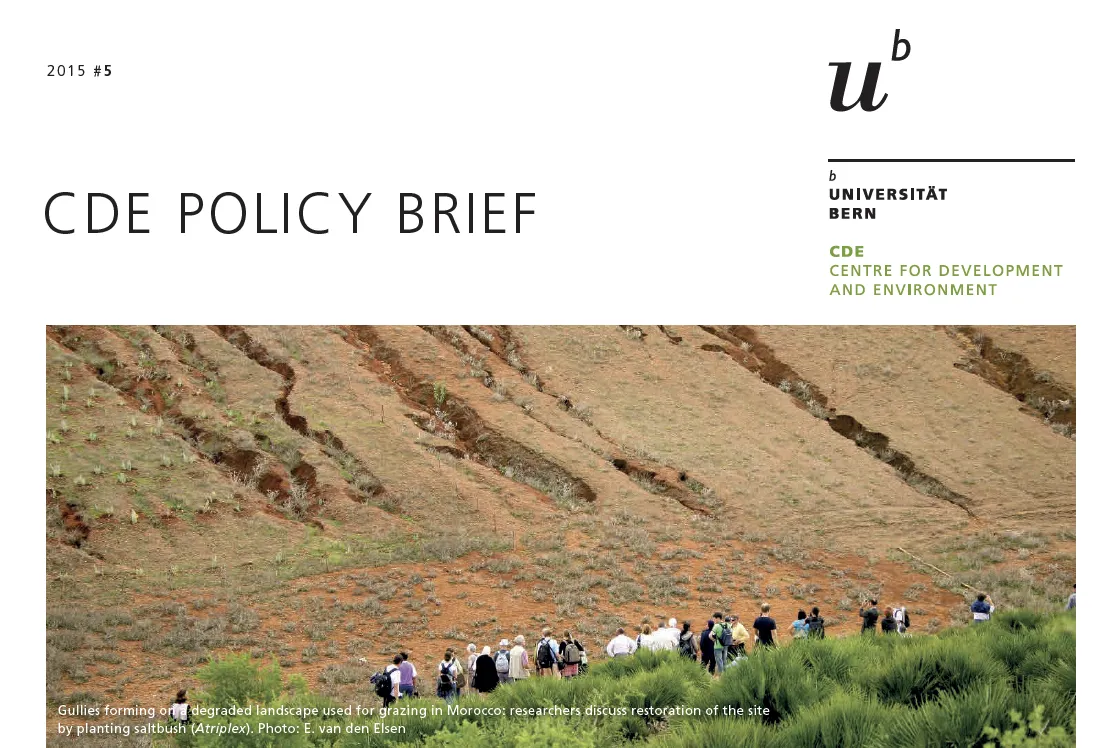 CDE Policy Brief.PNG