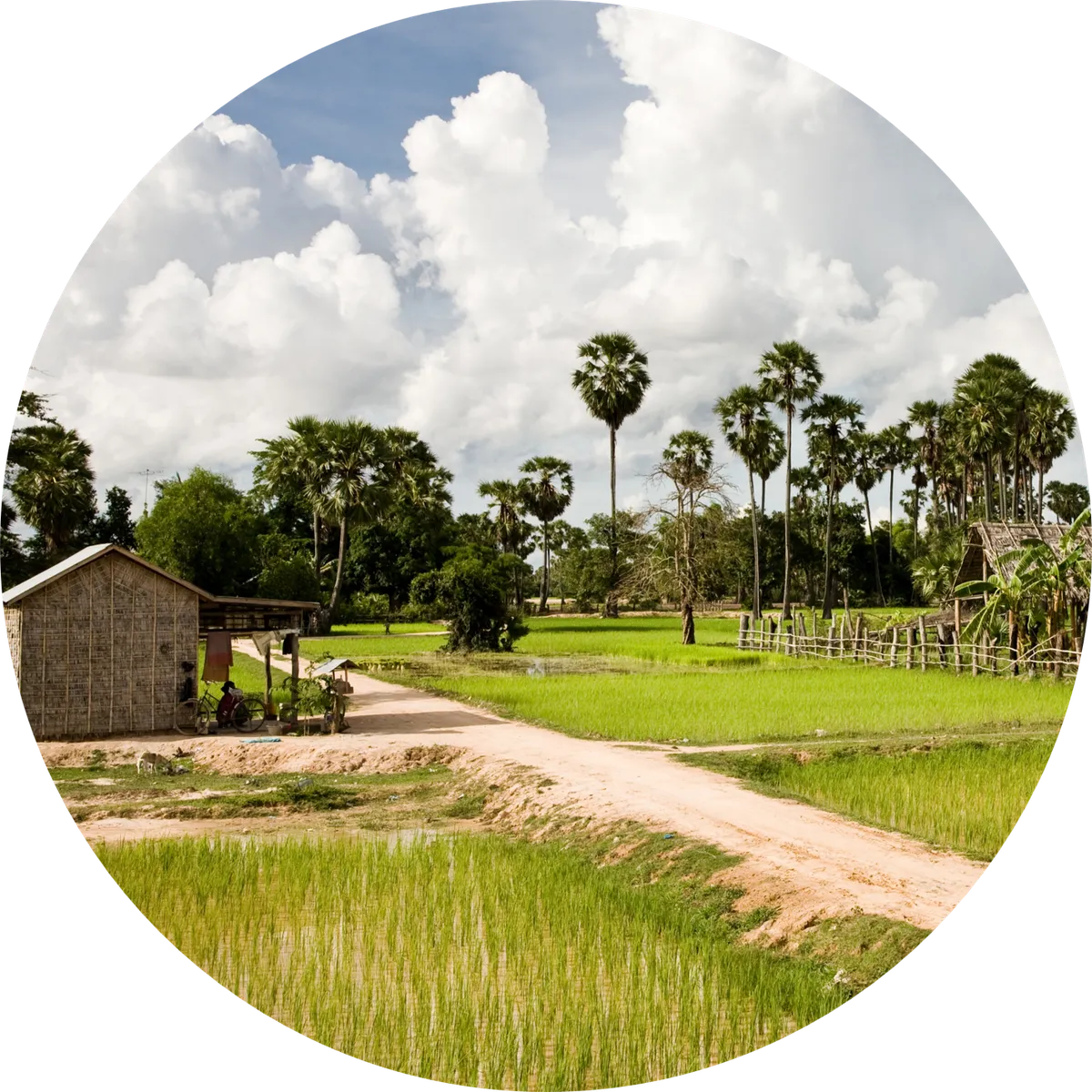 Cambodia