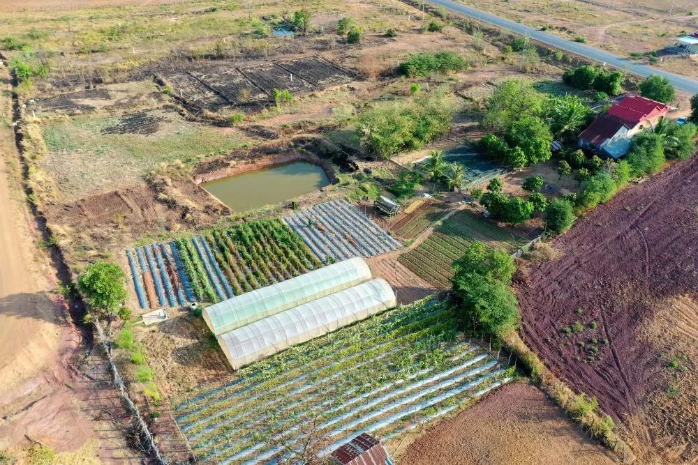 Cambodia_Gender_Phase 1