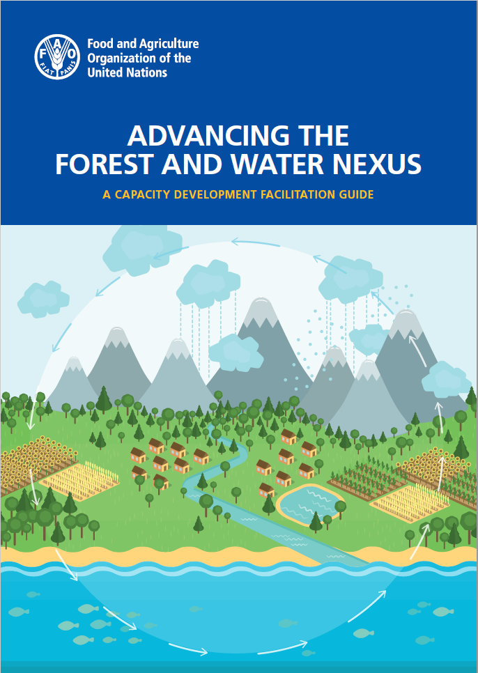 Forest and water nexus