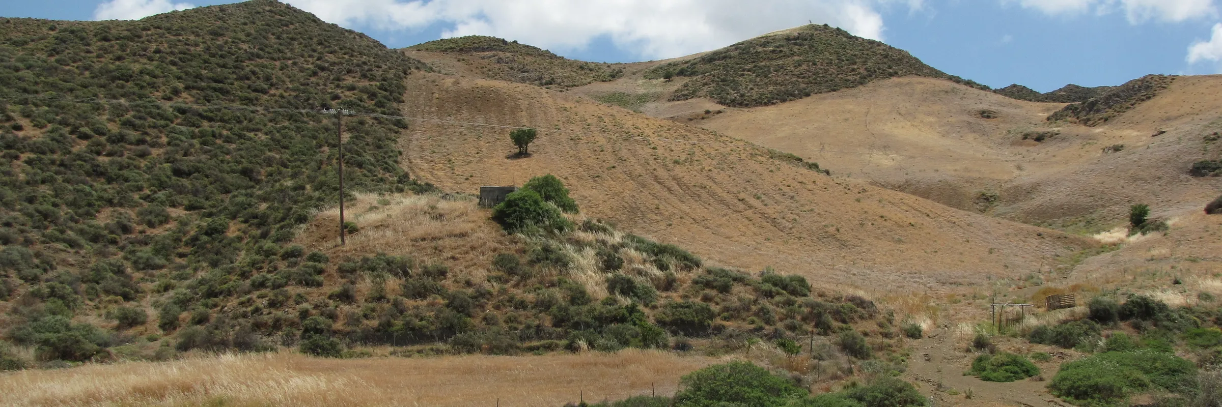 Photo: Gudrun Schwilch