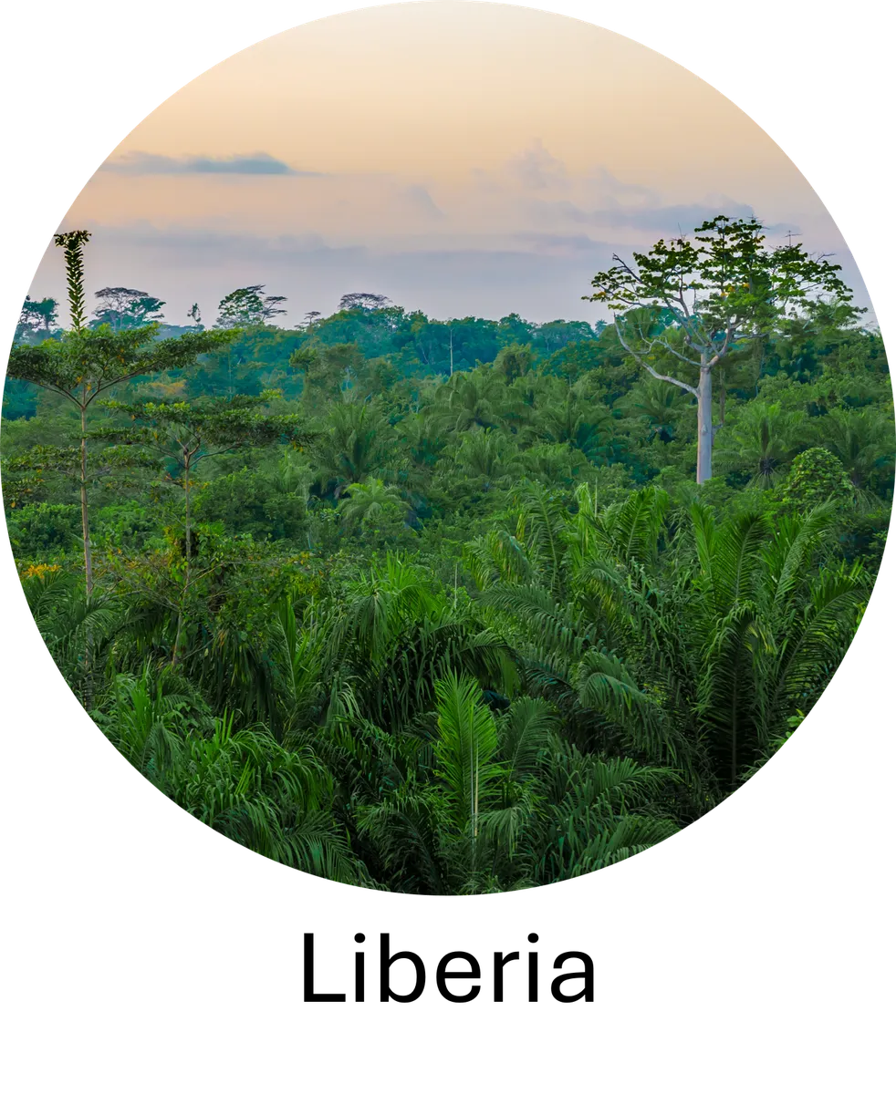 DS4LDN_Liberia