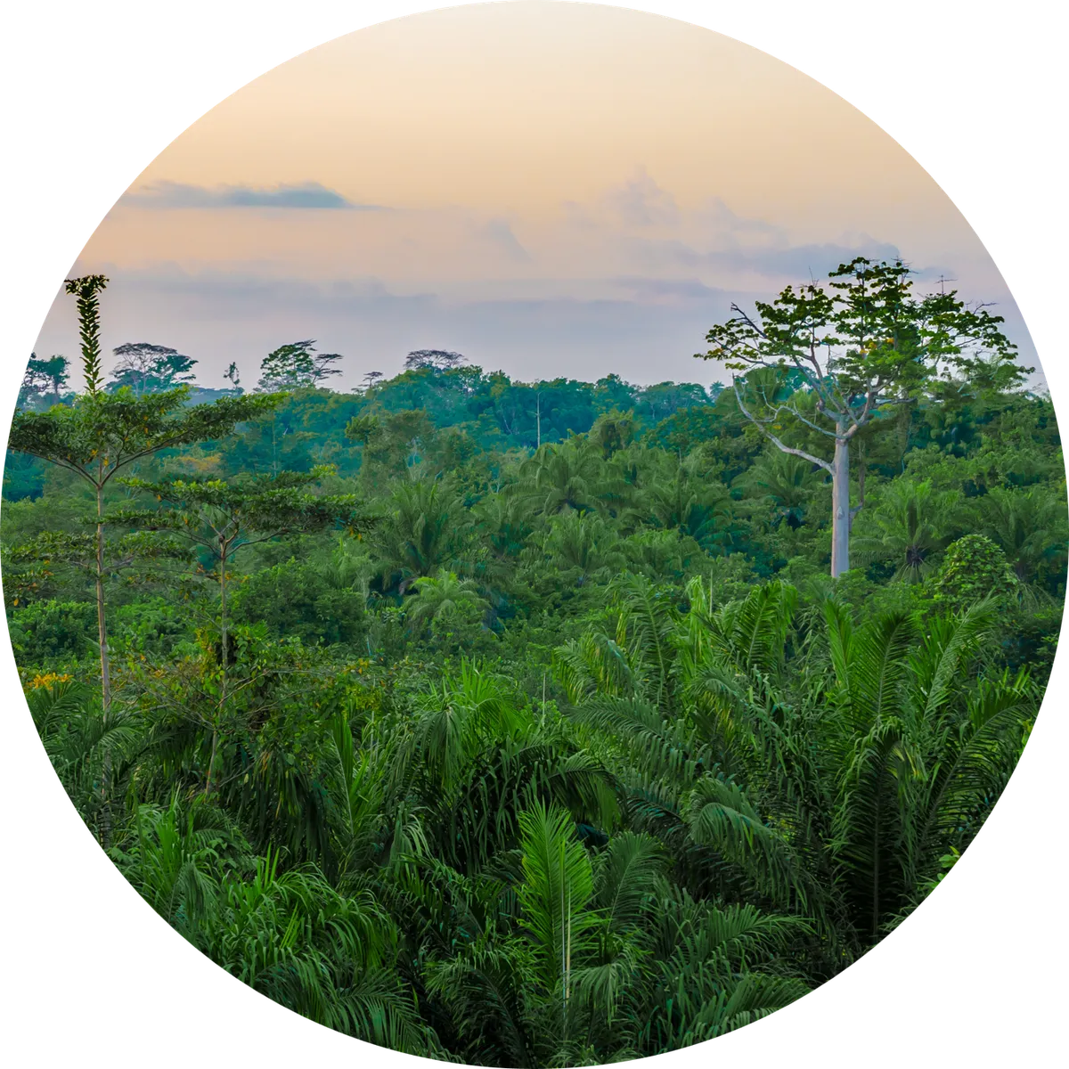 Liberia
