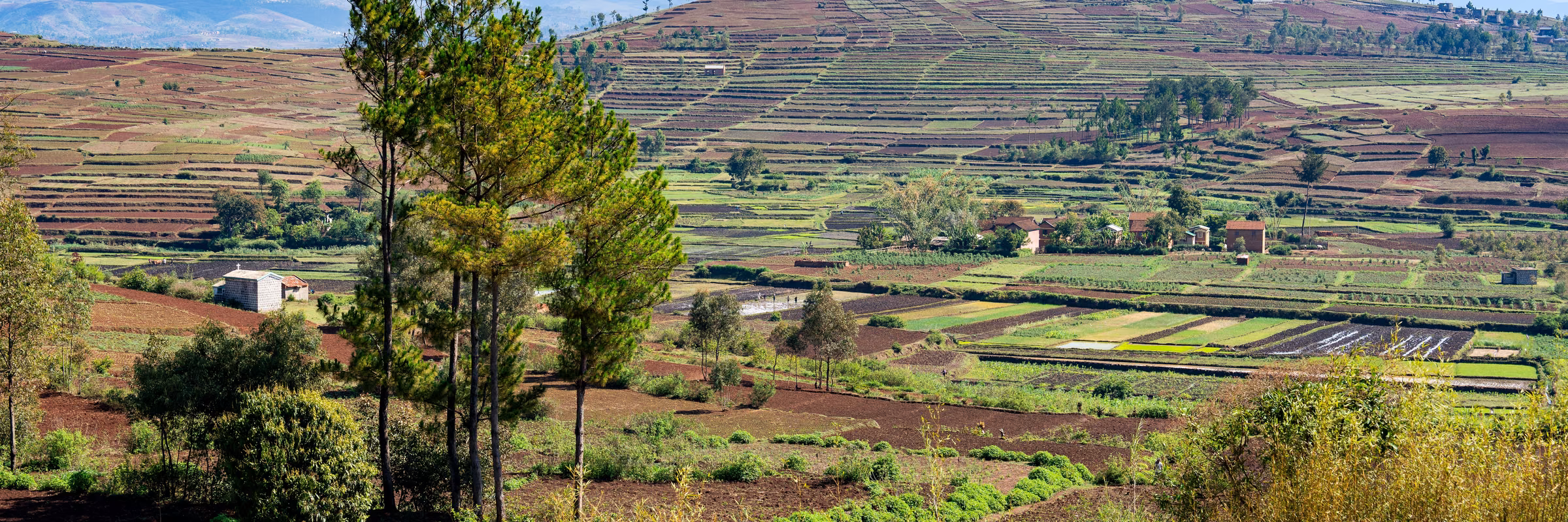 DS4LDN Madagascar_large