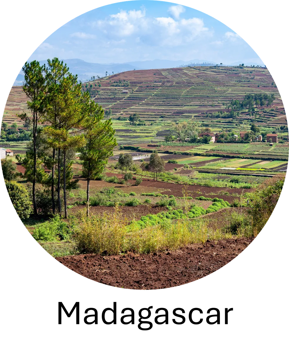 DS4LDN_Madagascar