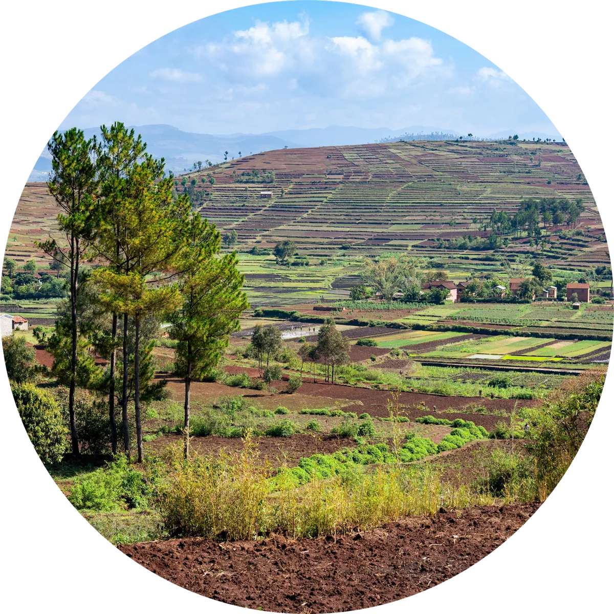 Madagascar