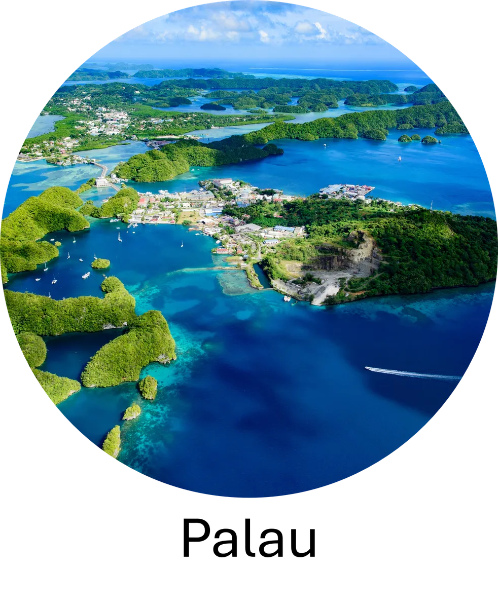 DS4LDN_Palau_zoom