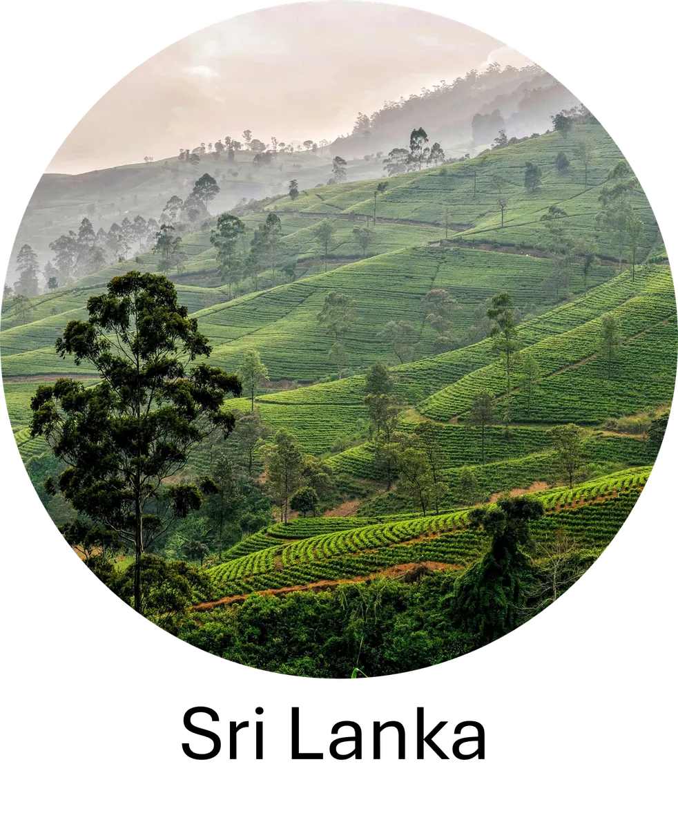 DS4LDN_Sri_Lanka
