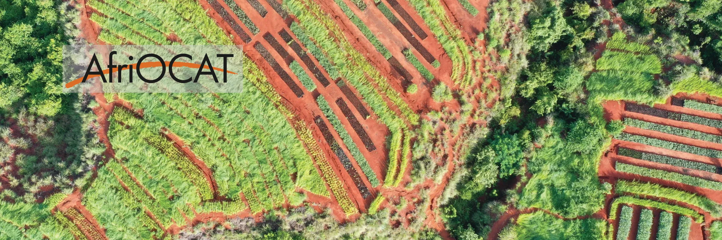 AfriOCAT_header