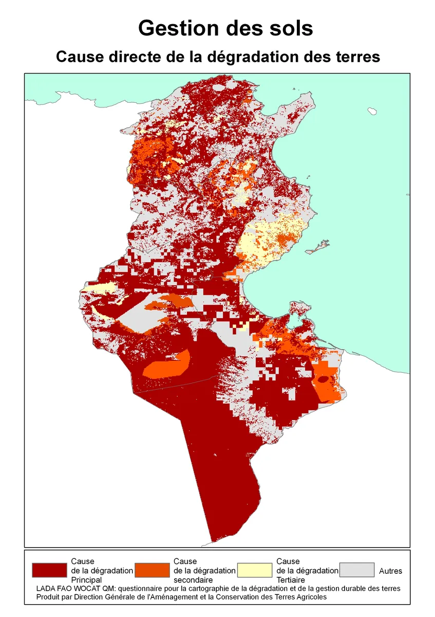 cause_degradation_Tunisia.jpg